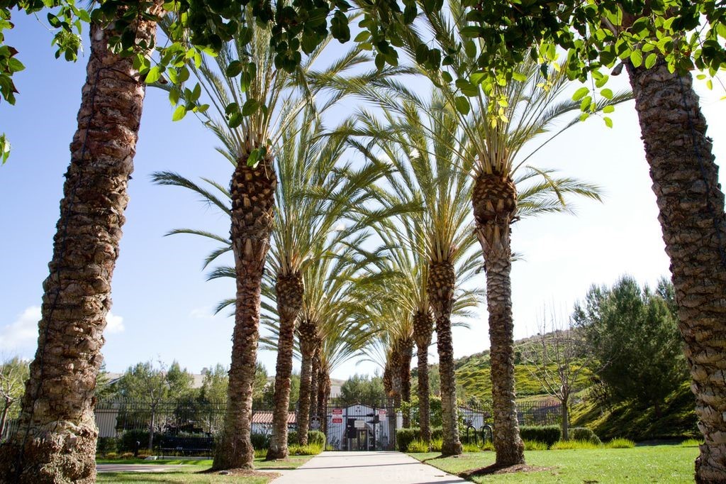 6402 Camino Ventosa San Clemente, CA 92673 - Photo 54 of 67