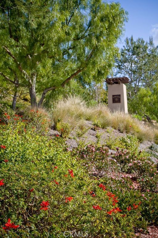 6402 Camino Ventosa San Clemente, CA 92673 - Photo 58 of 67