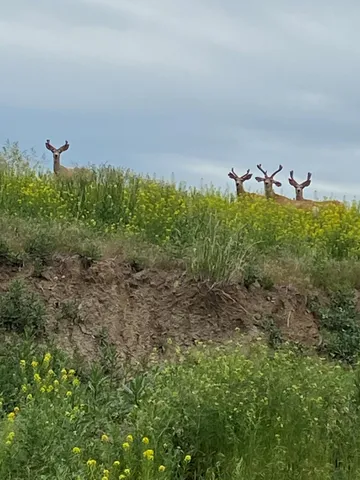 $365,000 | Wilderness Way, Unit (BTR7), Sheridan, WY 82801