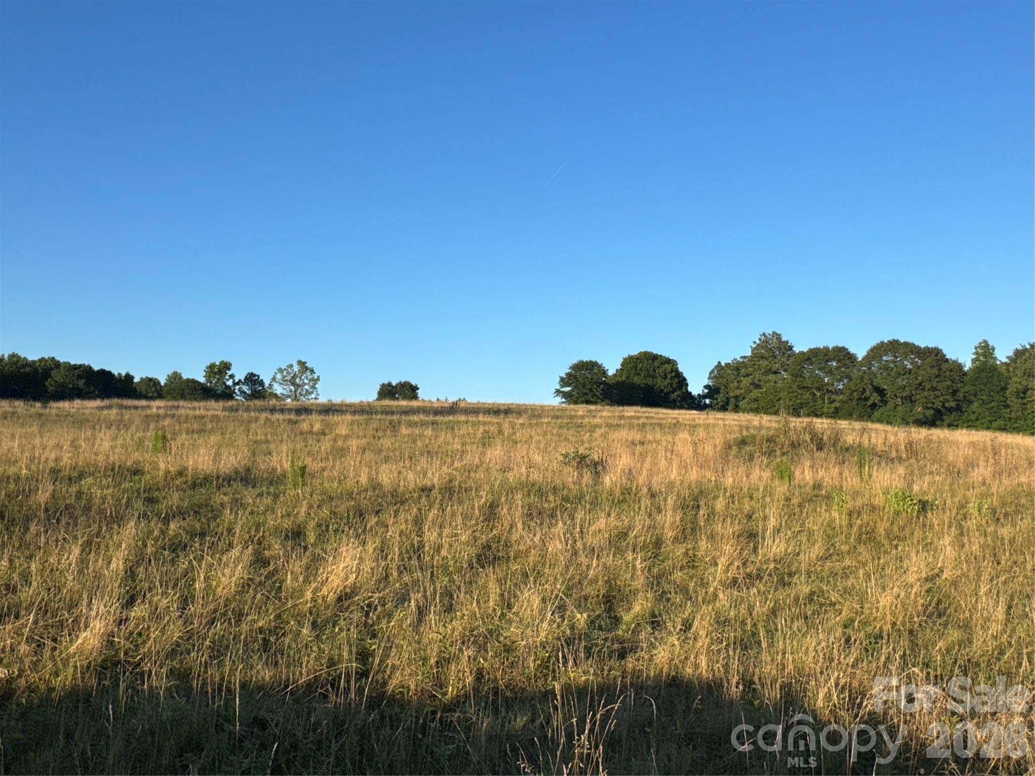 328 Sandy Run Church Road Mooresboro, NC 28114 - Photo 45 of 48
