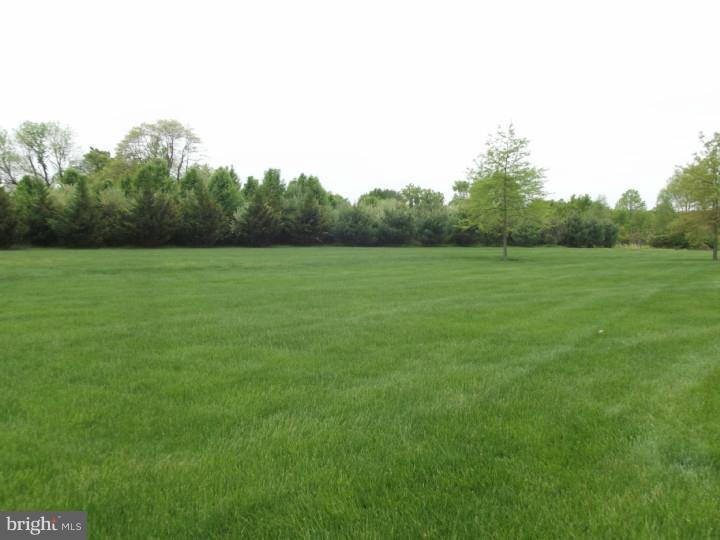 4 Jake Drive Cream Ridge, NJ 08514 - Photo 10 of 25 Back Yard