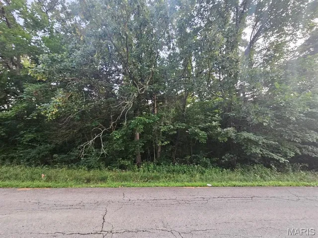 $6,500 | 115 Summer Set Drive, De Soto, MO 63020