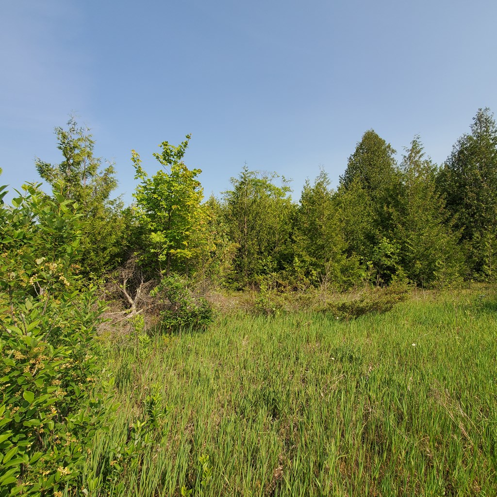 2340 German Road Baileys Harbor, WI 54202 - Photo 2 of 9