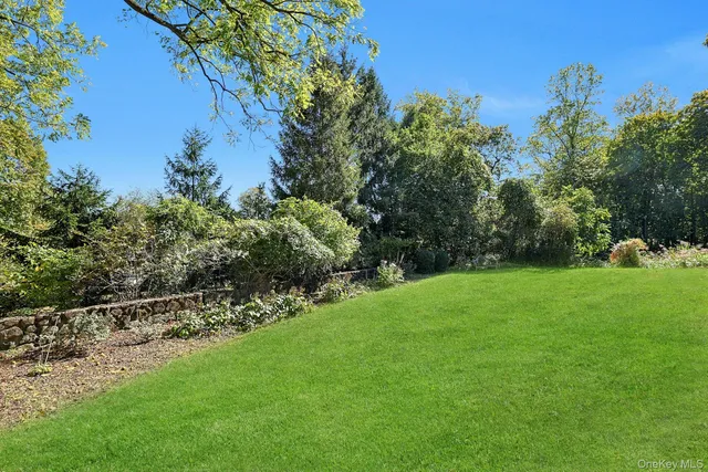 a view of a garden with a tree