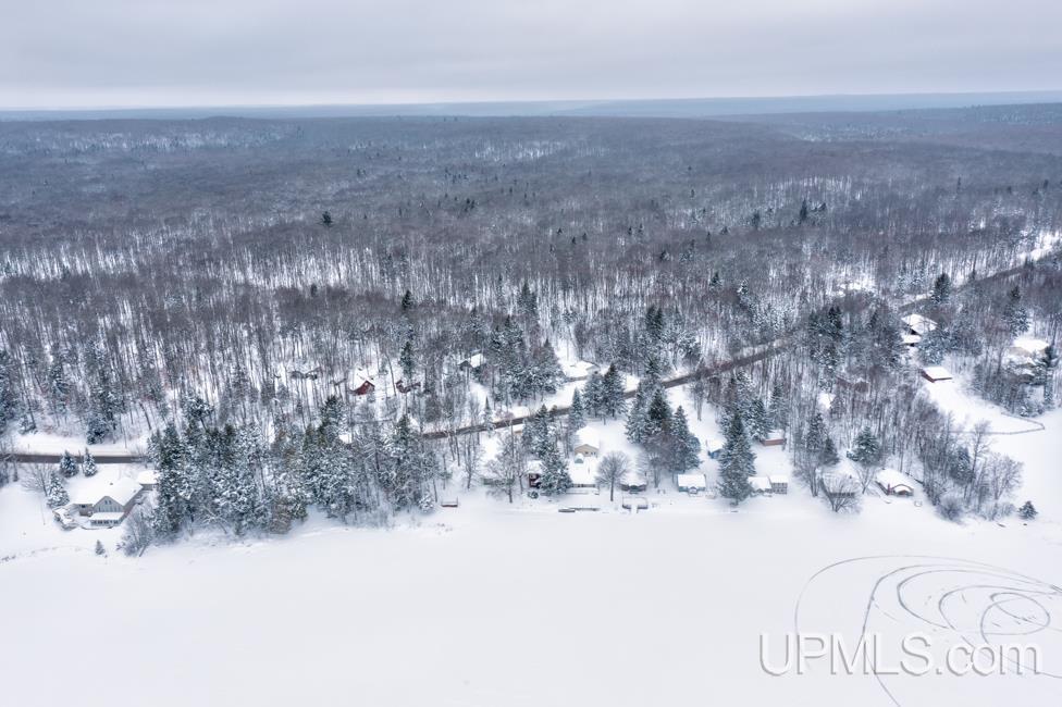 6598 Autrain Forest Lake Road Au Train, MI 49806 - Photo 55 of 59