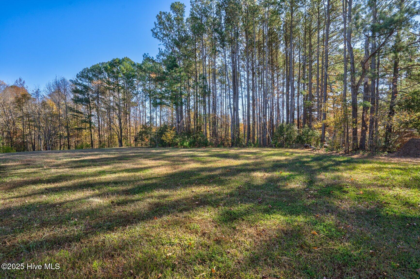 8681 Pleasant Grove Church Road Spring Hope, NC 27882 - Photo 29 of 30 029-8681PleasantGroveChurchRoad-SpringHo
