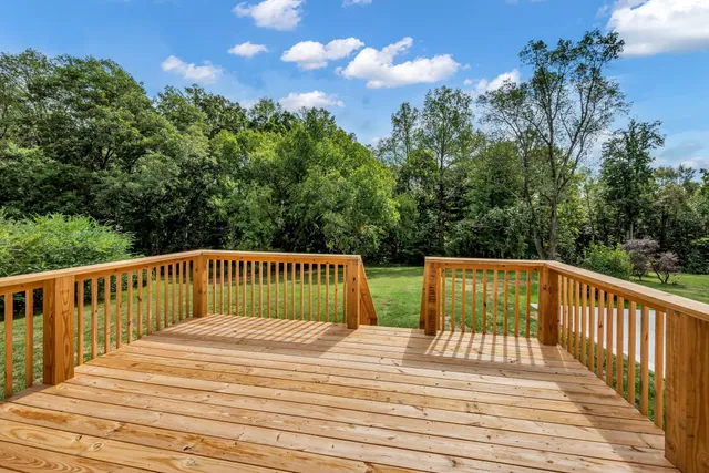 a view of a yard with a tree