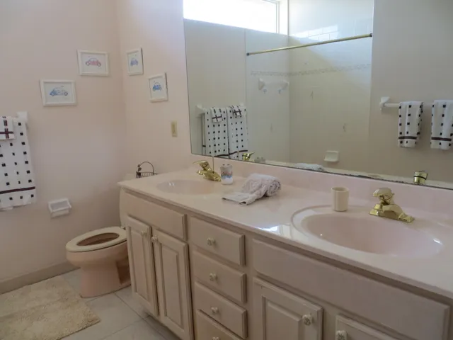 a bathroom with a sink and a toilet