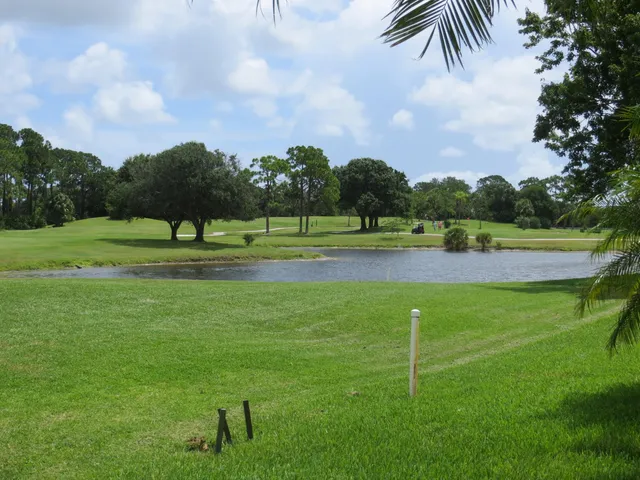 a view of outdoor space with garden and trees
