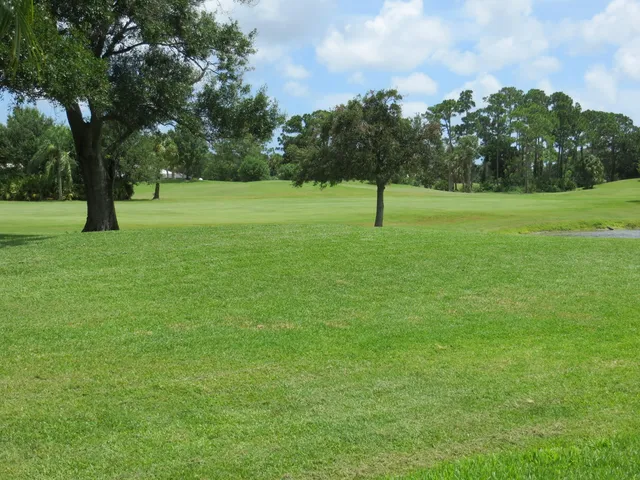 a view of a green field