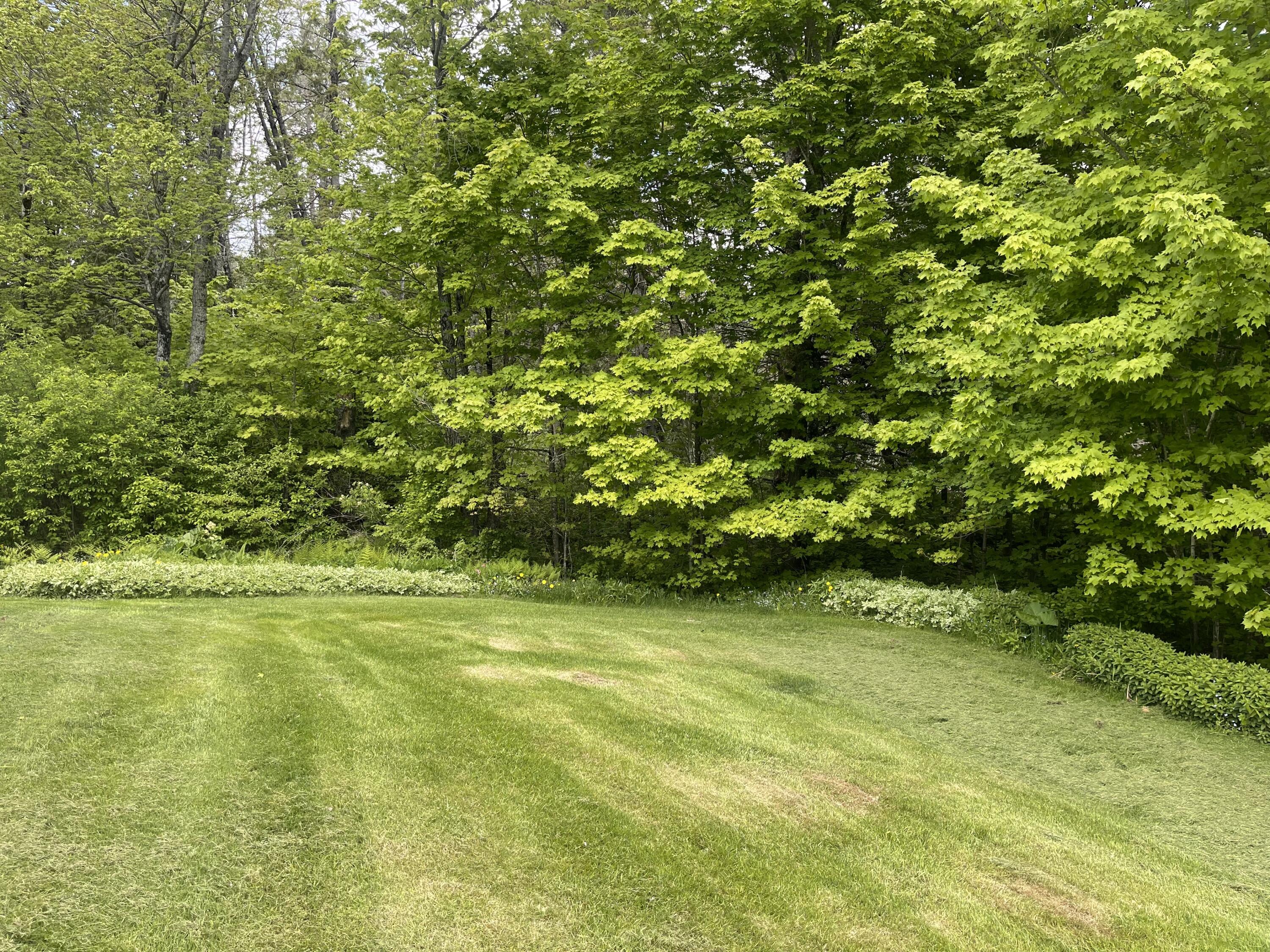 53 Bog Road Limestone, ME 04750 - Photo 5 of 53 IMG_8054