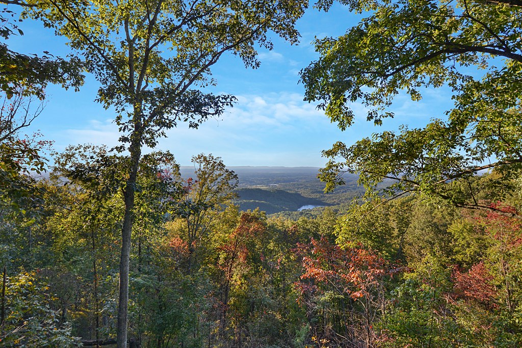 198 Stirratt Road Ranger, GA 30734 - Photo 80 of 86