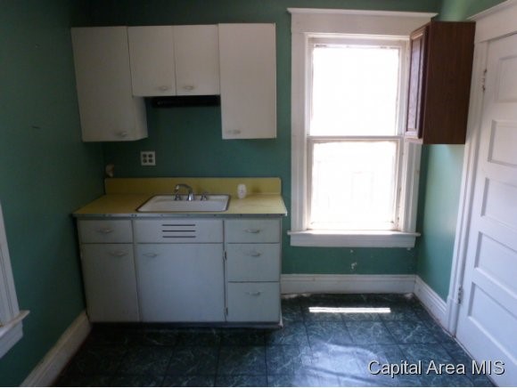 1218 South Spring Street Springfield, IL 62704 - Photo 11 of 14