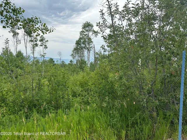 $95,000 | Lot 61 Pine Drive, Thayne, WY 83127