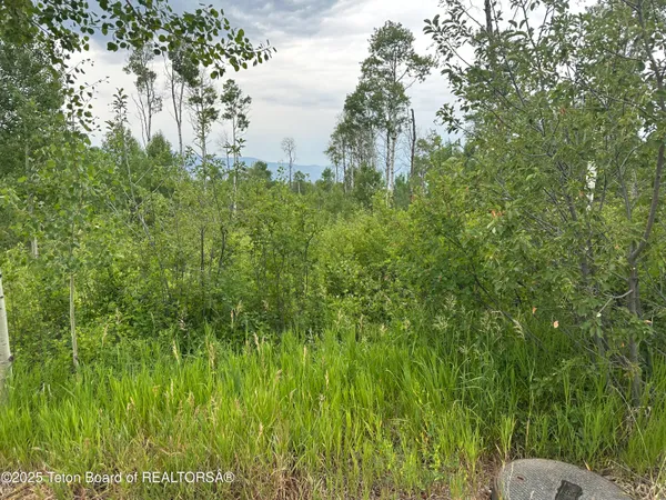 $95,000 | Lot 61 Pine Drive, Thayne, WY 83127