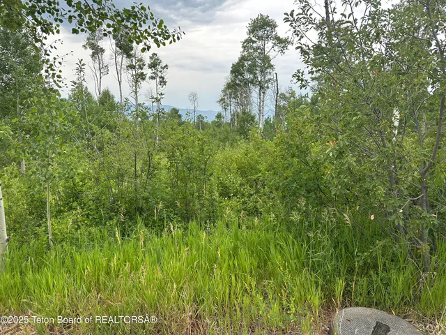 $95,000 | Lot 61 Pine Drive, Thayne, WY 83127