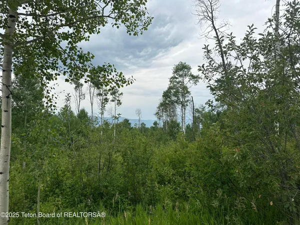 $95,000 | Lot 61 Pine Drive, Thayne, WY 83127