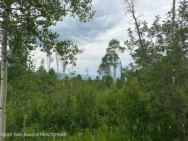 $95,000 | Lot 61 Pine Drive, Thayne, WY 83127