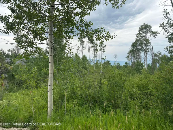 $95,000 | Lot 61 Pine Drive, Thayne, WY 83127