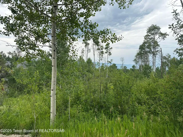$95,000 | Lot 61 Pine Drive, Thayne, WY 83127