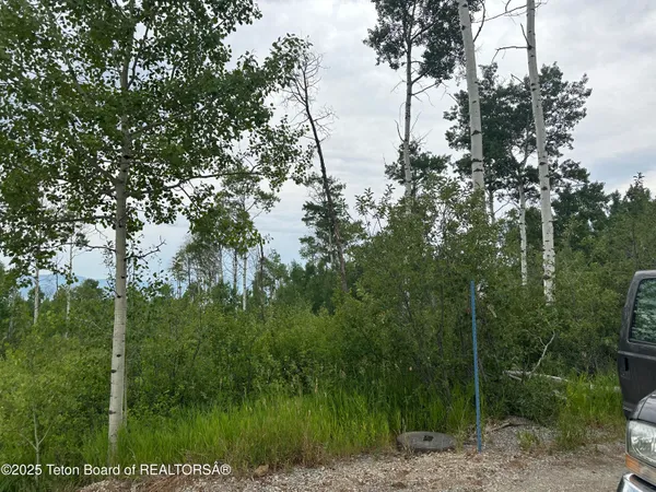 $95,000 | Lot 61 Pine Drive, Thayne, WY 83127