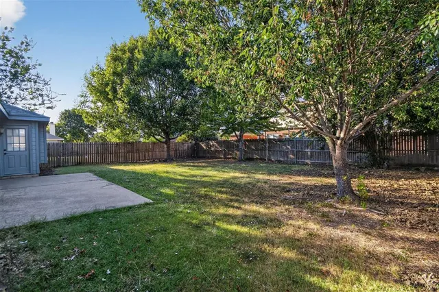 a view of a yard with a tree