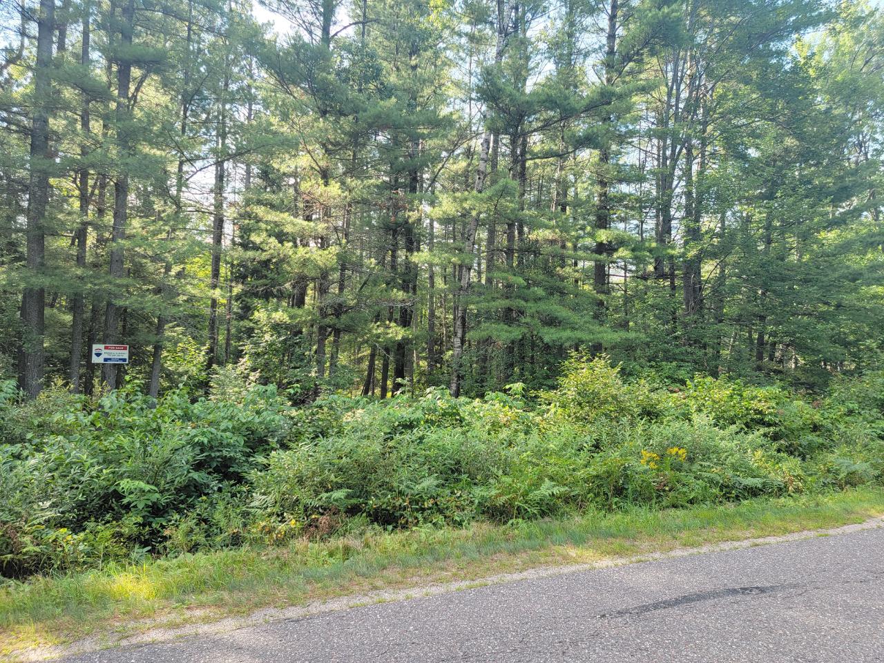 On Loon Lake Road, Unit LOT 8 Eagle River, WI 54521 - Photo 2 of 11 Gallery Image 2