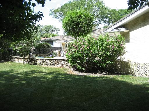 309 Uvedale Road Riverside, IL 60546 - Photo 14 of 15 a view of green field with plants and trees