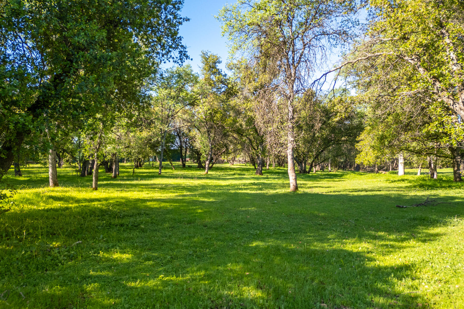 9038 Stillwater Road Redding, CA 96002 - Photo 26 of 30 DJI_0071-HDR