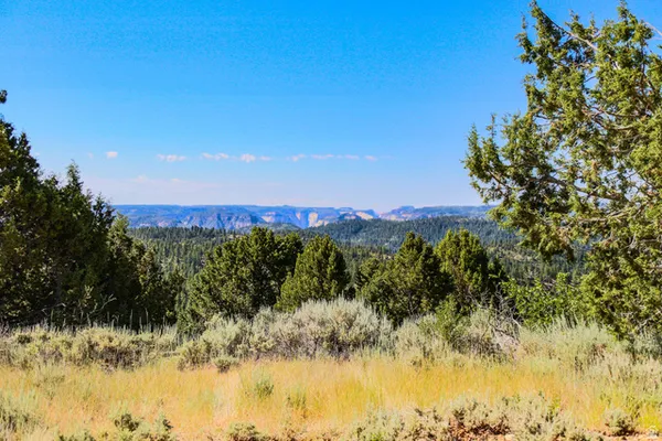 $90,000 | 22 Fitzwater Drive, Unit 22, Springdale, UT 84767