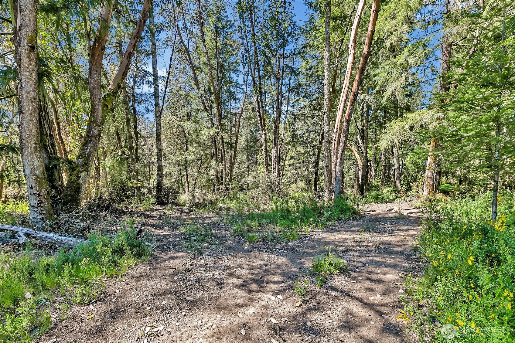 7516 Lackey Road Northwest Vaughn, WA 98394 - Photo 3 of 40 Gallery Image 3