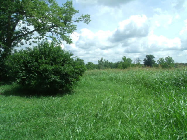 812 Peytona Beach Road Waddy, KY 40076 - Photo 162 of 166 Peytona Beach Waddy ky July 2021 039