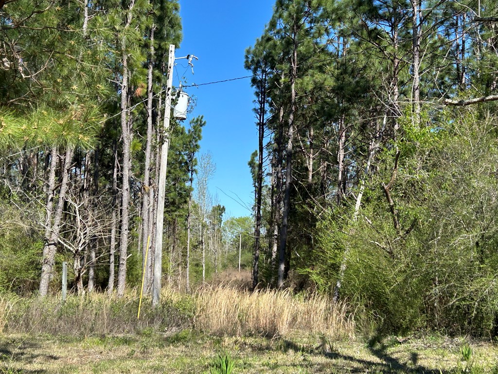 923 Lakeview Road Slocomb, AL 36375 - Photo 18 of 45