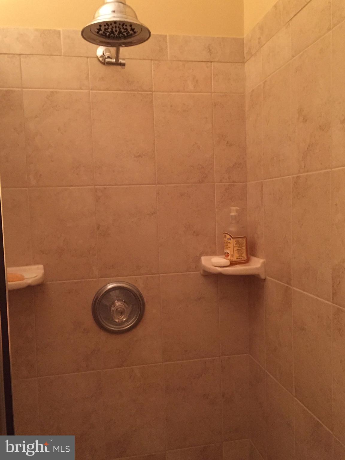 1401 Cox Neck Road Chester, MD 21619 - Photo 12 of 32 Tile shower