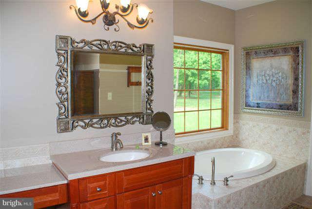 4444 Teen Barnes Road Jefferson, MD 21755 - Photo 15 of 30 a bathroom with a sink and a mirror