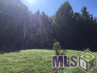 78 Hawkins Road Natchez, MS 39120 - Photo 23 of 29 Gallery Image 23