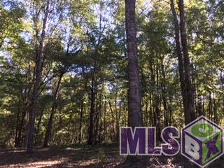 78 Hawkins Road Natchez, MS 39120 - Photo 10 of 29 Gallery Image 10