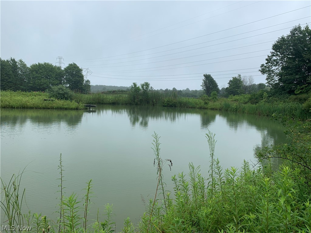 South Ridge Road Conneaut, OH 44030 - Photo 2 of 24