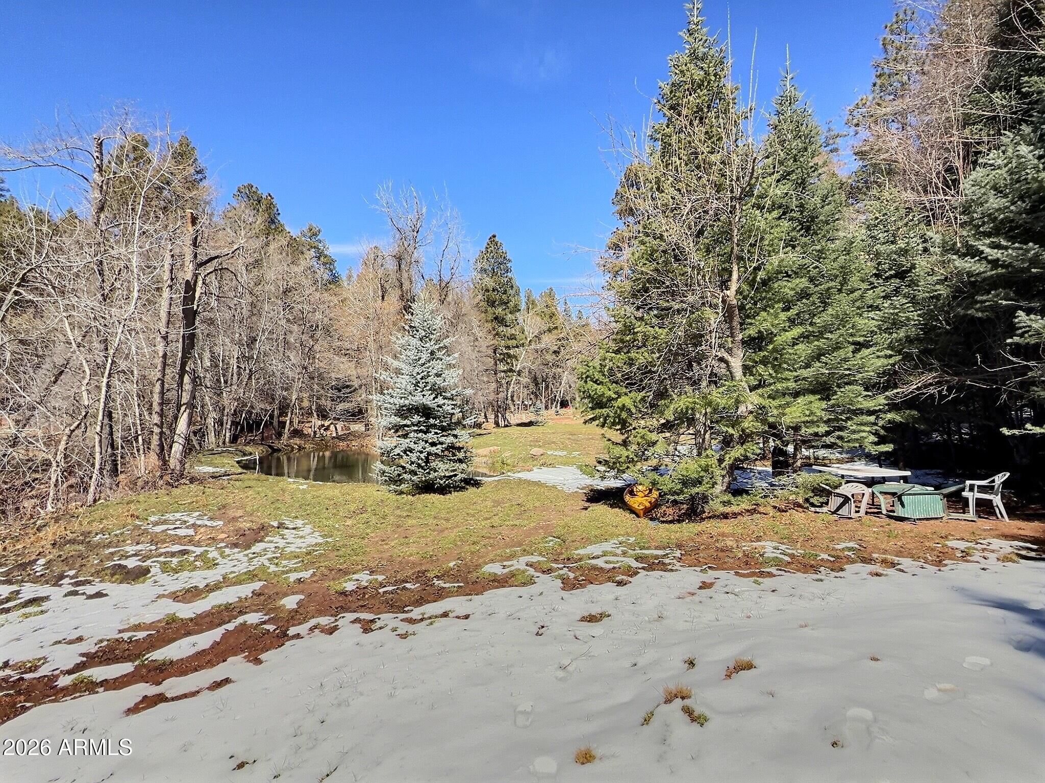 415 East Rim Estates Trail Payson, AZ 85541 - Photo 50 of 76 a view of a snow on the road