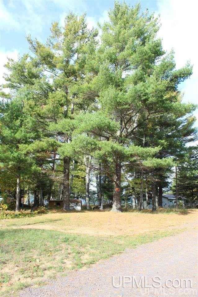 Tbd Sarkela Road Calumet, MI 49913 - Photo 14 of 24