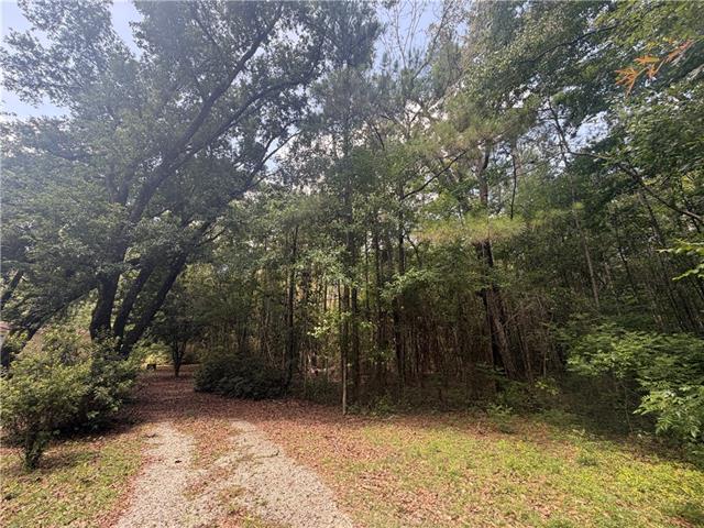 37196 West Powerline Road Pearl River, LA 70452 - Photo 1 of 7