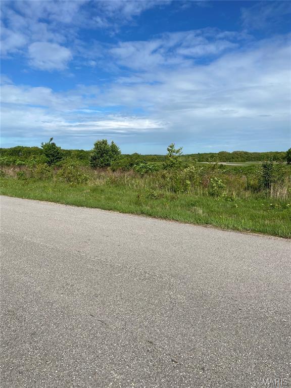 0 Old Springfield Road Cuba, MO 65453 - Photo 2 of 8