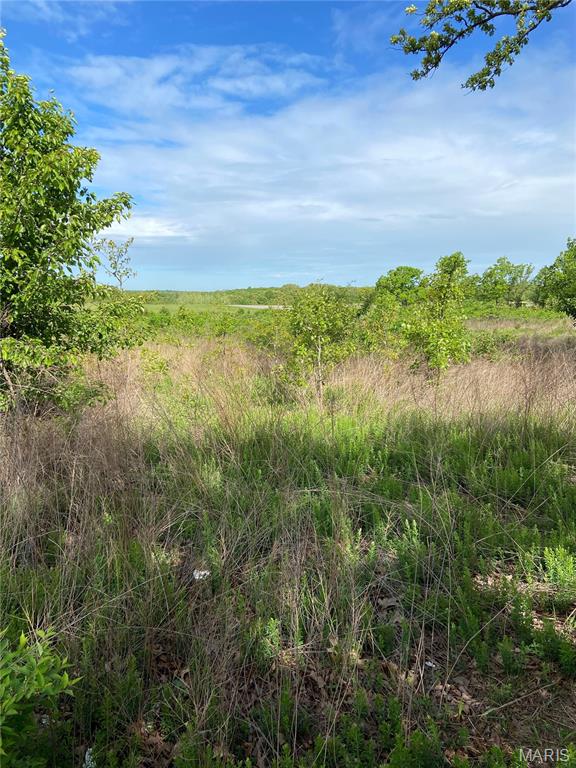 0 Old Springfield Road Cuba, MO 65453 - Photo 4 of 8