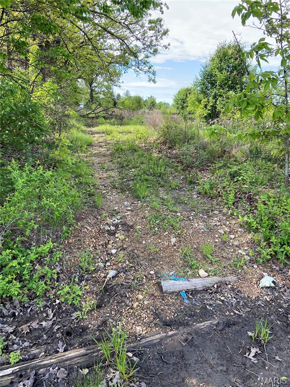 0 Old Springfield Road Cuba, MO 65453 - Photo 5 of 8