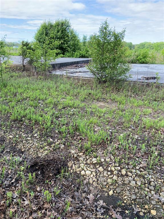 0 Old Springfield Road Cuba, MO 65453 - Photo 6 of 8