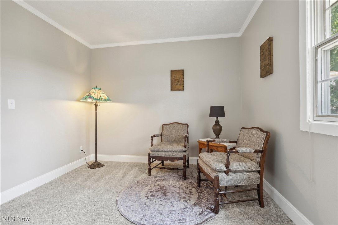 5418 River Road Madison, OH 44057 - Photo 34 of 43 Living area featuring carpet and crown molding