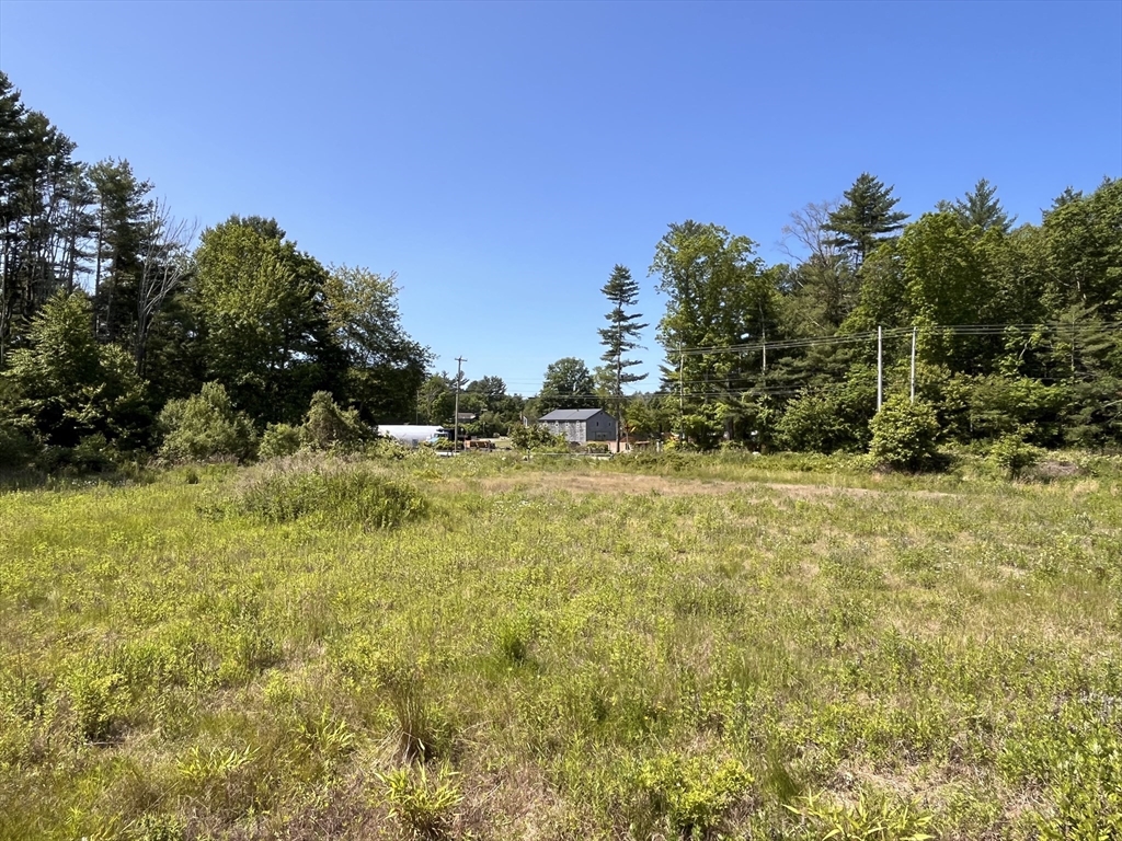 0 Palmer Road Plympton, MA 02367 - Photo 14 of 15 a view of yard with green space