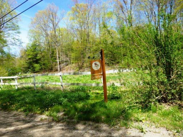 45 Mill Road Woodbury, CT 06798 - Photo 1 of 1 a view of garden