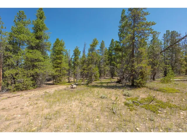 a view of a yard with trees