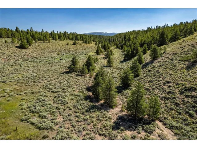 a view of a yard with an trees